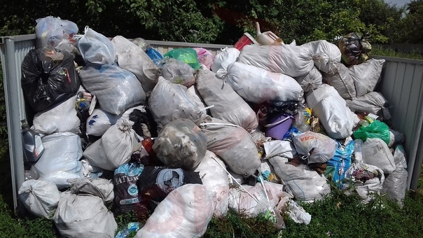 Смольный не справился с уборкой мусора в Петербурге к 26 января
