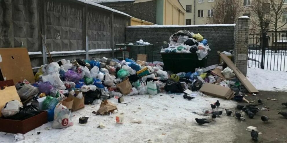 Власти Петербурга не считают ситуацию с вывозом мусора коллапсом